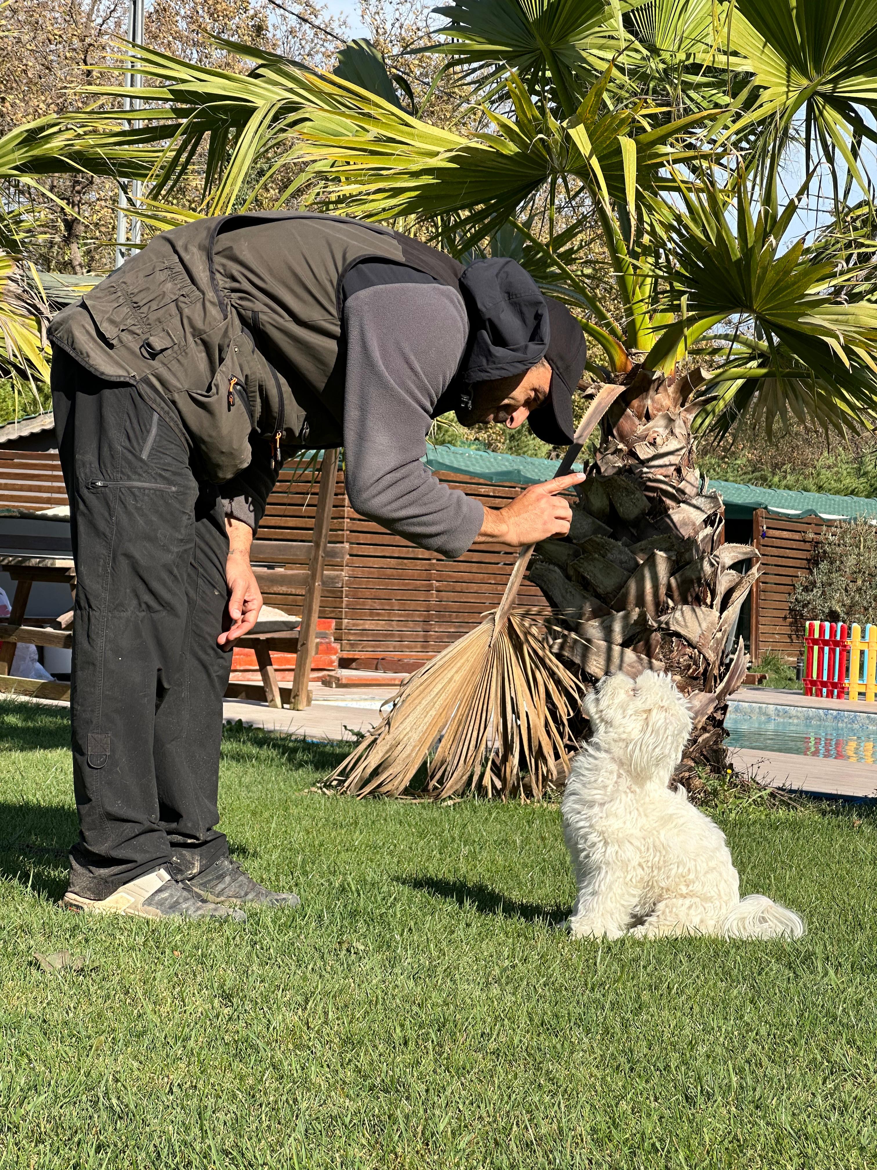 İstanbul En İyi Köpek Eğitmeni Seçerken Dikkat Etmeniz Gereken 5 Kriter