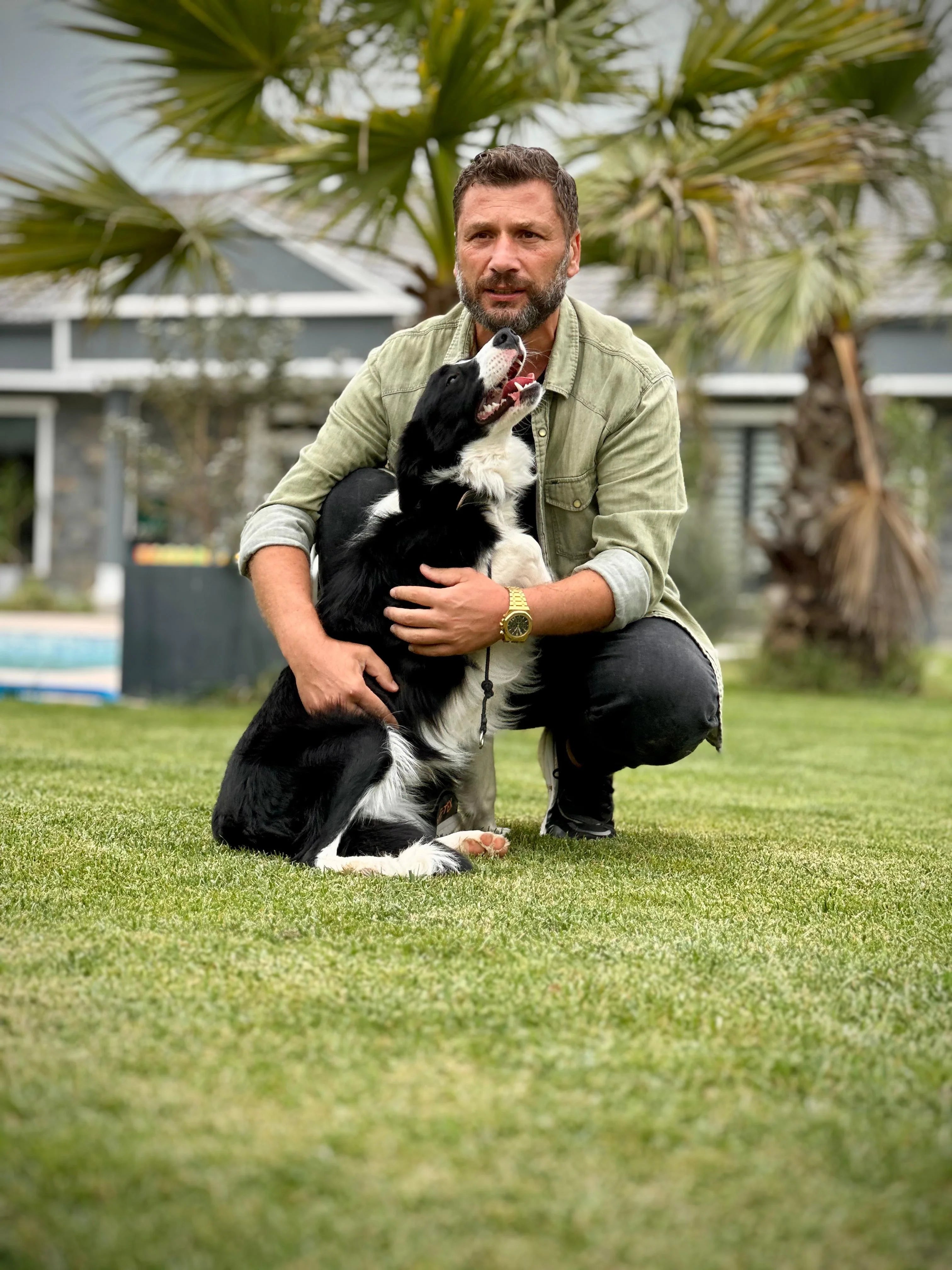 Köpeklerde Temel İtaat Eğitimi Nedir? İstanbul'un En İyi Eğitim Merkezi