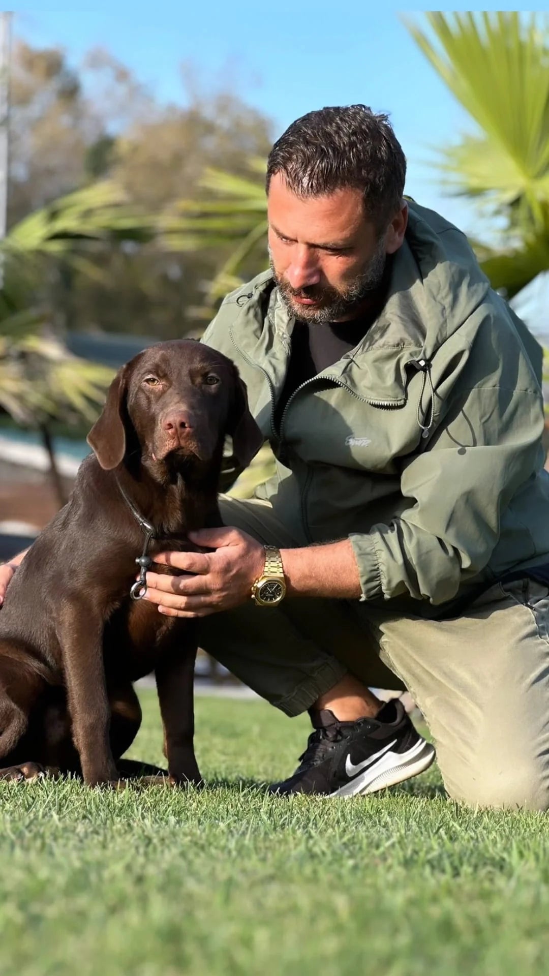 İstanbul Puppy (Yavru) Adaptasyon ve Temel Alışkanlık Eğitimi