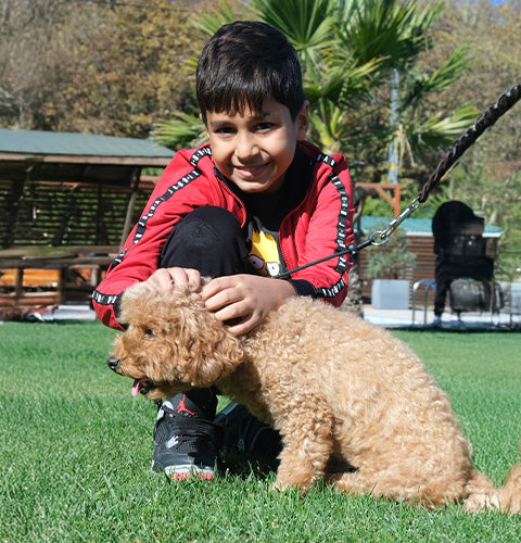 Irk Danışmanlığı