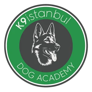 K9 İstanbul